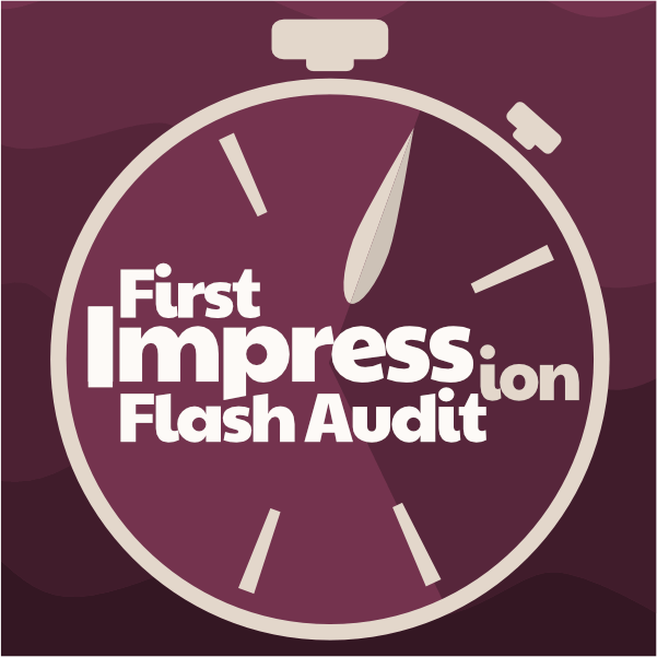 Image of Micro Flash Audit